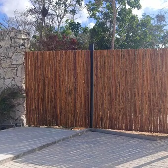 Avance de Infraestructura en Rosela Tulum