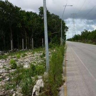 Desarrolladores de Vivienda Endurecen sus Revisiones en la Compra de Tierra en Quintana Roo