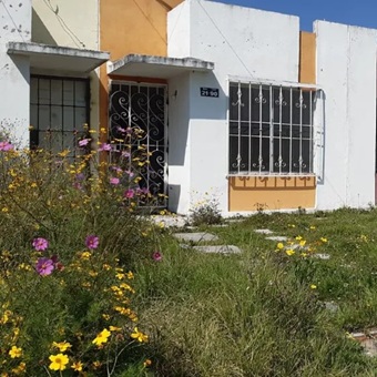 AMPI impulsa herramienta para rescatar casas abandonadas en Área Metropolitana de Monterrey