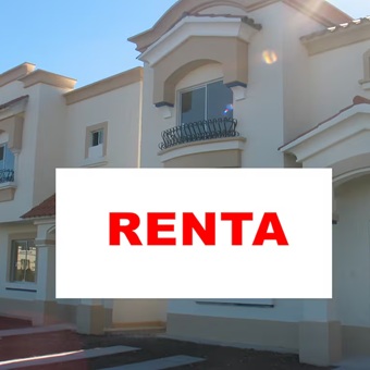 Ven recuperación en las rentas del sector inmobiliario