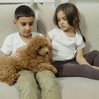 En CDMX ya no podrán negarte vivienda por tener hijos o mascotas: esta es la reforma histórica que cambiará todo