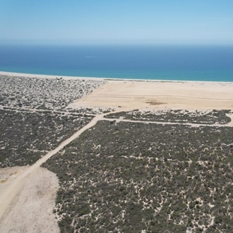 México pierde sus tesoros naturales: manglares y playas desaparecen por el boom inmobiliario