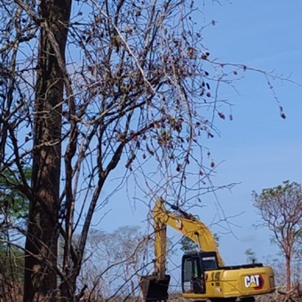 “Boom inmobiliario” acelera el cambio climático en Yucatán