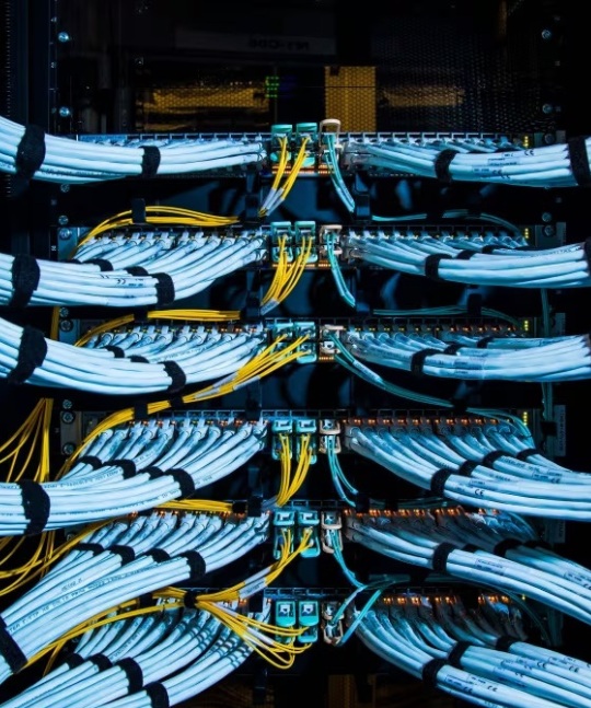 ¿Qué sabemos de la mega inversión de 3,700 mdd en Durango para producir fibra oscura y fertilizantes?