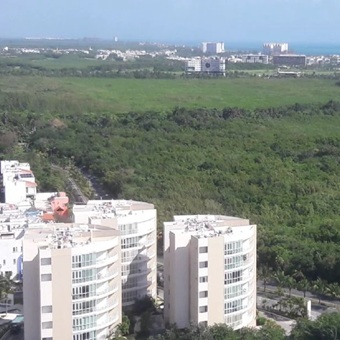 Continúa conformación de comités de desarrollo inmobiliario de AMPI Nacional