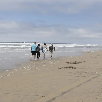Preocupa impacto ambiental en Playas de Tijuana por nuevo desarrollo inmobiliario