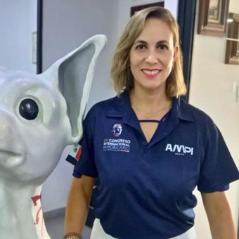 Sube precio de vivienda por materiales y poca oferta social: Zulema
