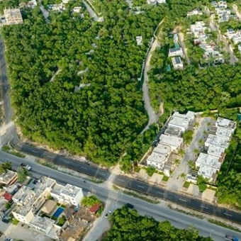 Consejo Inmobiliario propone reordenar el desarrollo urbano de Tulum
