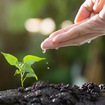 Compromiso ambiental: AMEFIBRA contribuye a la restauración del río La Silla en Monterrey