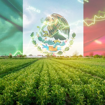 Campo ‘salva’ a la economía de México: Crece 0.7% en 2025, cuarto año de desaceleración