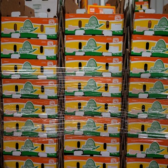 Exportaciones hacia EU rompieron récord en noviembre