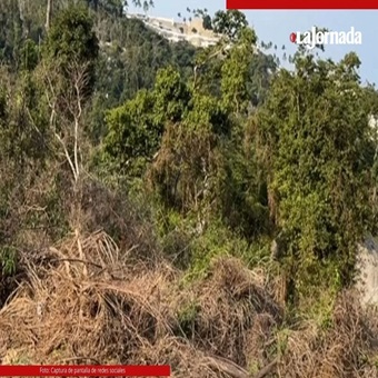 Acusan a gobierno de Guerrero de intentar construir desarrollo inmobiliario en área protegida de Acapulco