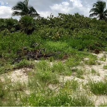 Rechazan nuevo proyecto inmobiliario en la Reserva de la Biósfera de Sian Ka ‘an