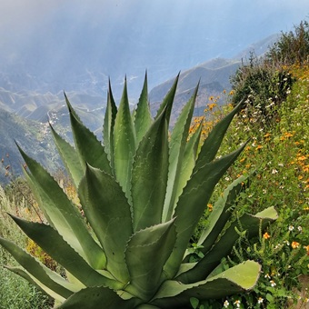 Querétaro: Sector inmobiliario industrial apoya modelo turístico único; buscan certificación internacional