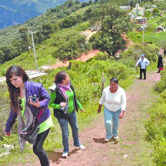 ¿Es posible una nueva banca rural en México? Las sofincos buscan intentarlo con una nueva ley