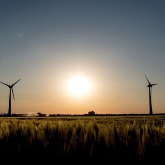 México en condiciones para liderar transición energética, pero debe acelerar: OXY SERVICES